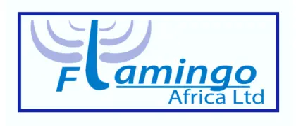 Vast Talents Flamingo Africa